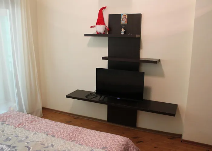 In Forest Glade * Pamporovo