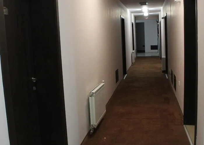 In Forest Glade Pamporovo