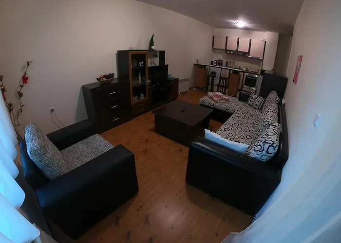 In Forest Glade Pamporovo